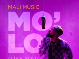 Mo'Lo [Like You] - Mali Music