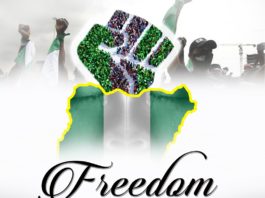 Freedom - John Olumayowa