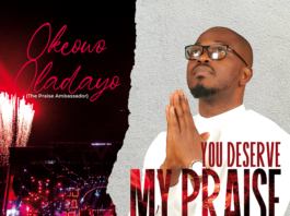 You Deserve My Praise - Oladayo Okeowo