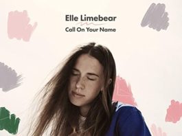 Call On Your Name - Elle Limebear