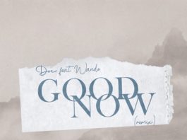 Good Now (Remix) - Doe Ft. Wande