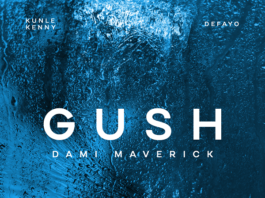 Gush - Dami Maverick