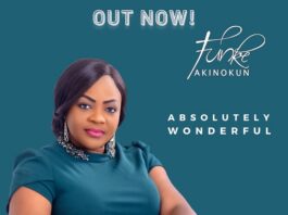 Absolutely Wonderful – Funke Akinokun
