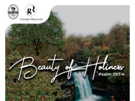 Beauty Of Holiness - Tolu Adeosun