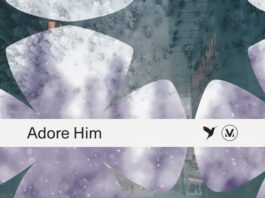 Adore Him - Vineyard Worship