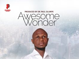 Awesome Wonder - Peter John