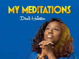 My Meditation - Diana Hamilton