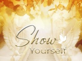 Show Yourself - Mr. M & Revelation