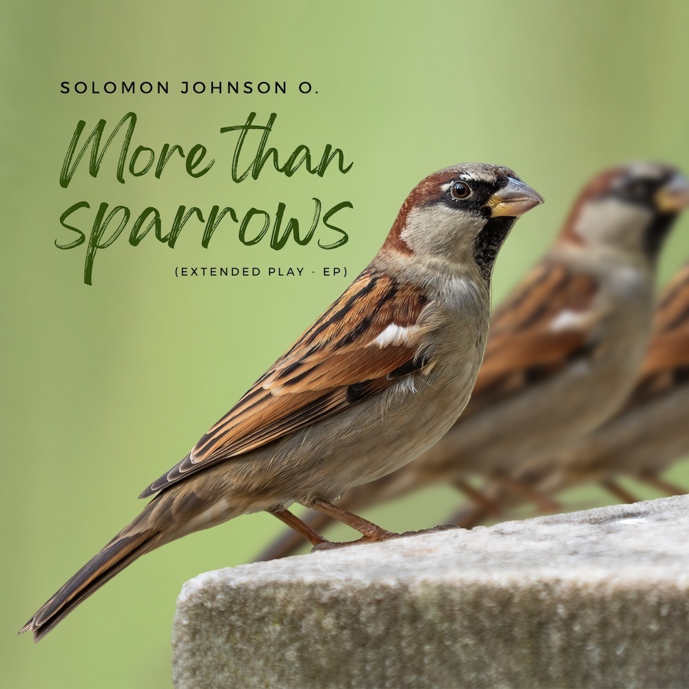 More Than Sparrows – Solomon Johnson O
