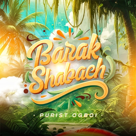 Barak Shabach - Purist Ogboi 