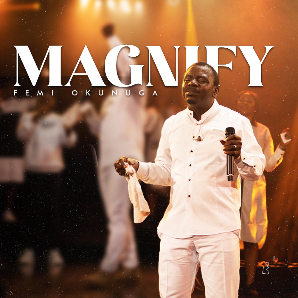 Magnify - Femi Okunuga