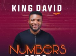 King David - Numbers 23"19