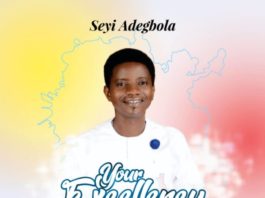 Seyi Adegbola - Your Excellency