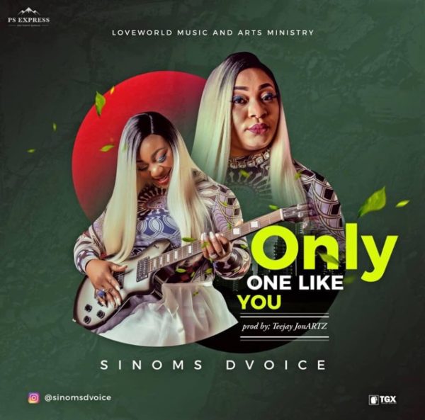 Sinoms Dvoice - Only One Like You
