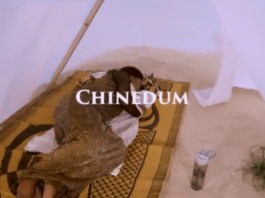 [Video] Mercy Chinwo - Chinedum
